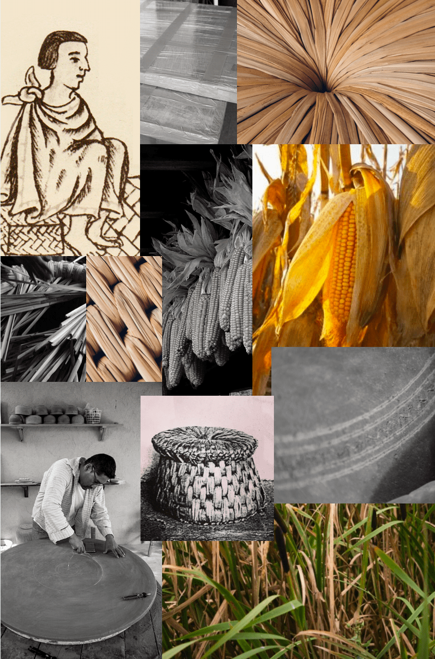 Marines Salcedo Gutierrez 3