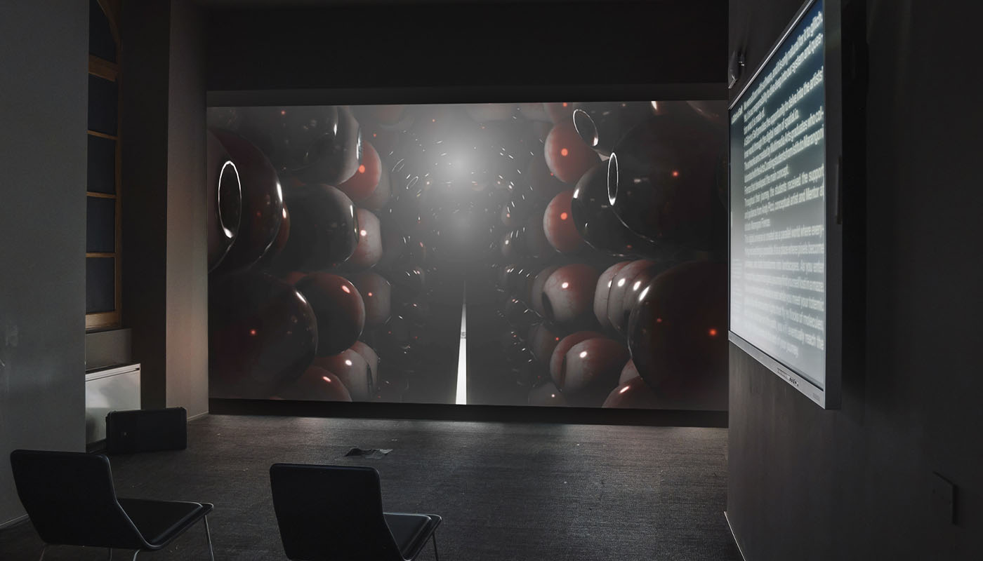 gallery 0007 7IV03381 copia