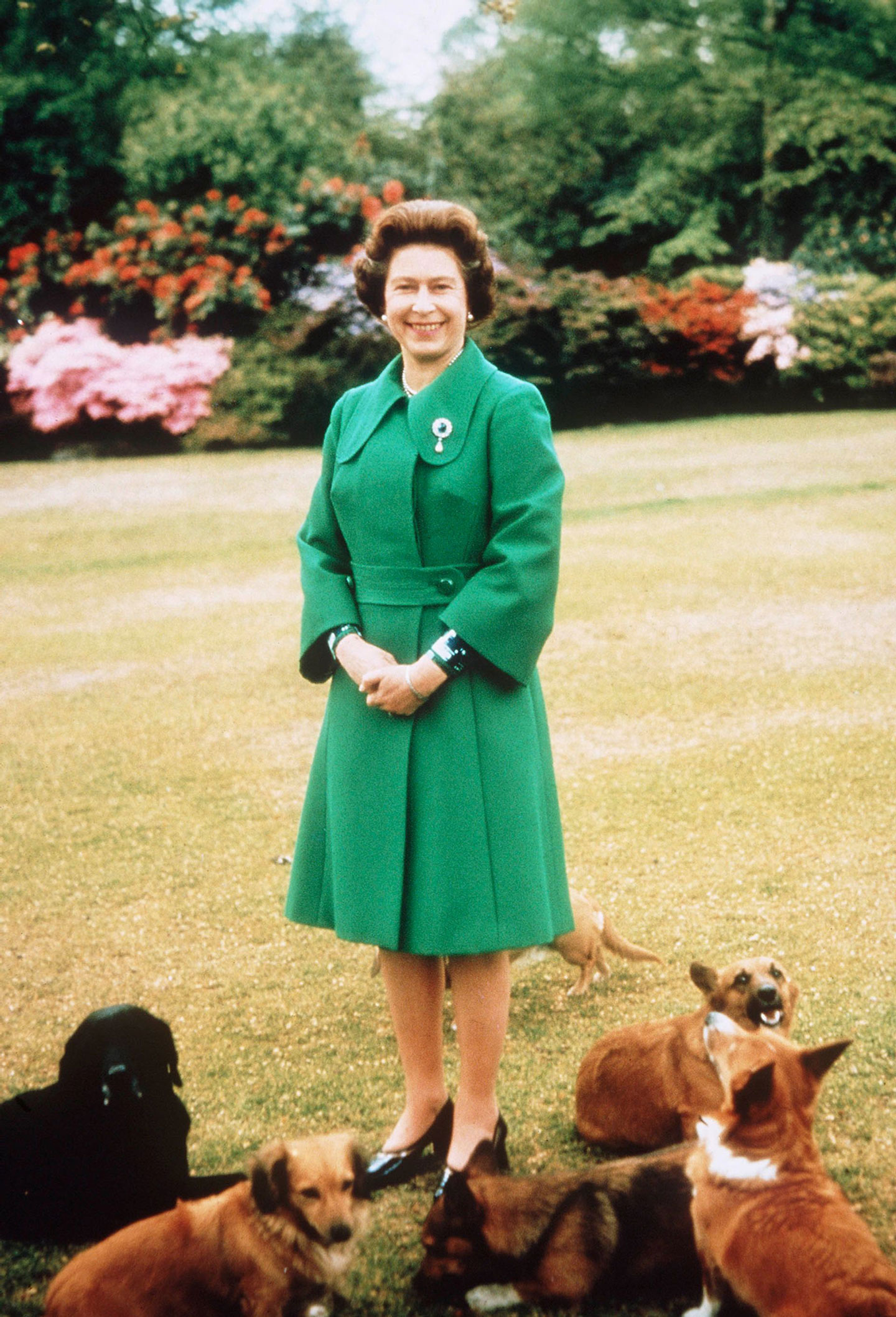 Queen Elizabeth II with her corgis in 1960