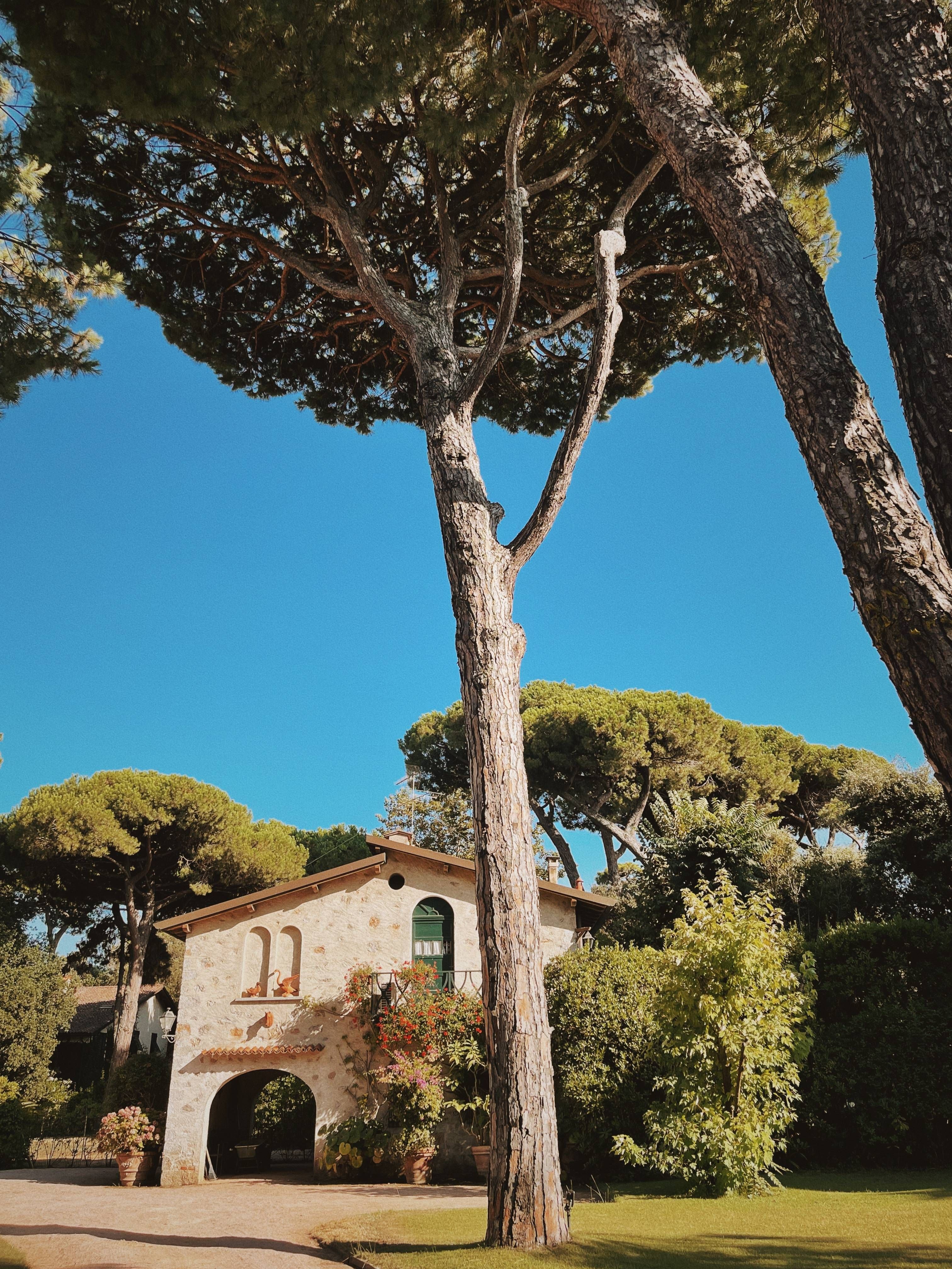 The enchanted garden of Augustus Hotel & Resort in Forte dei Marmi, where maritime pines and classic seaside elegance evoke Italian summer. Courtesy press office.