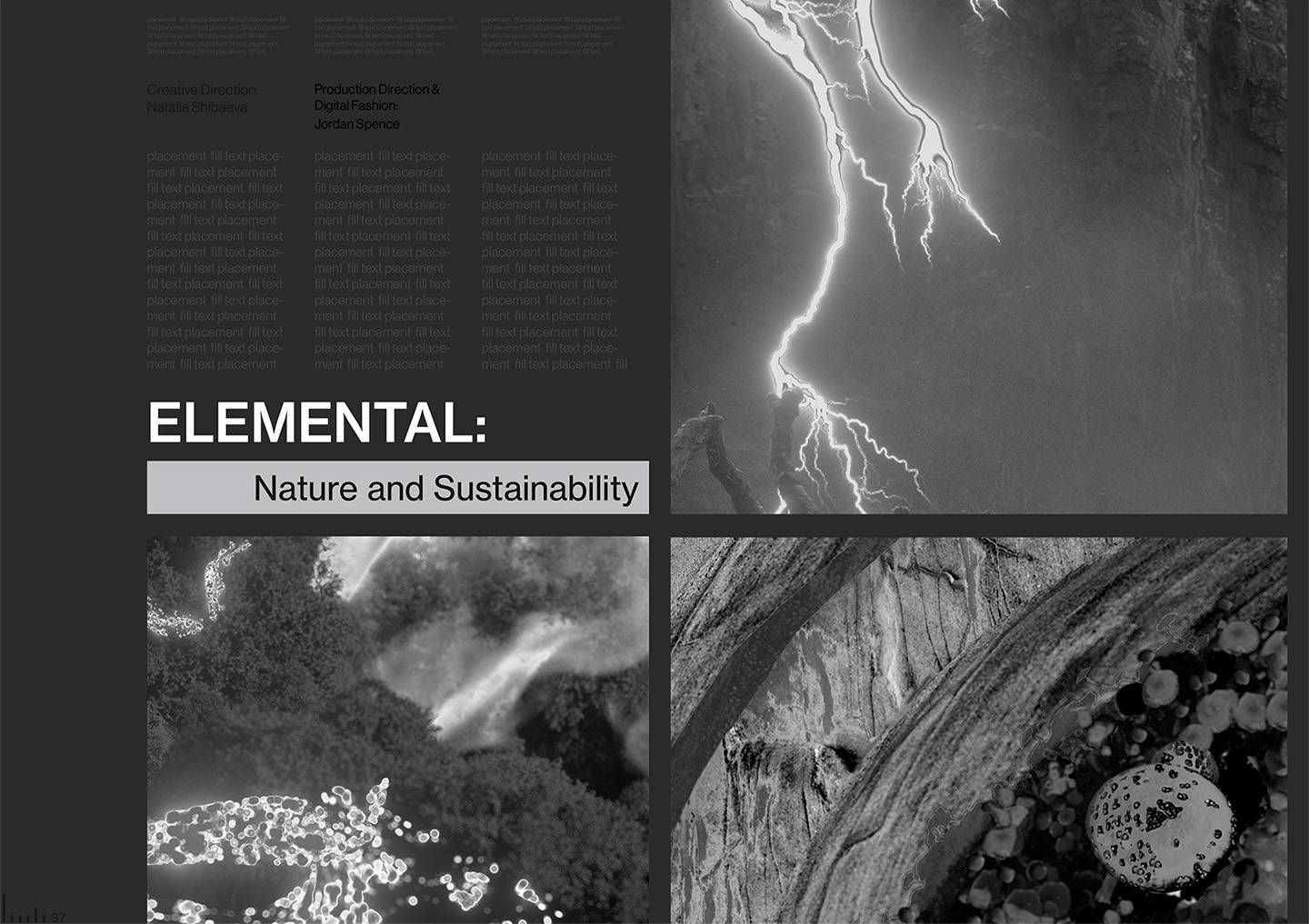 Elemental editorial by Natalia Shibaeva