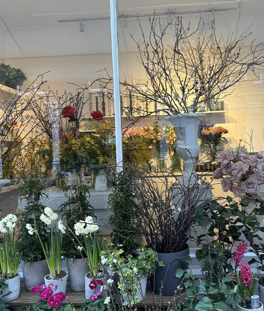 maze35 chiltern firehouse london culture of exclusivity 2