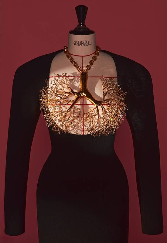 maze35 schiaparelli at the va london 2026 3